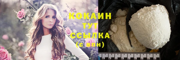 apvp Белокуриха