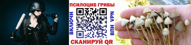 Галлюциногенные грибы мицелий Новоаннинский